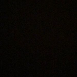 Meet your Posher, Ann